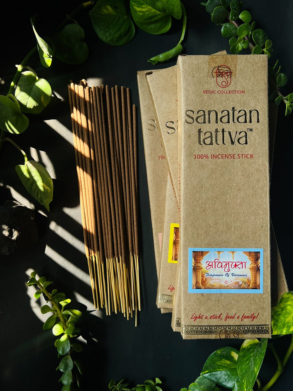 Sanatan Tattva Avimukta I Fragrance of Varanasi I Made in India